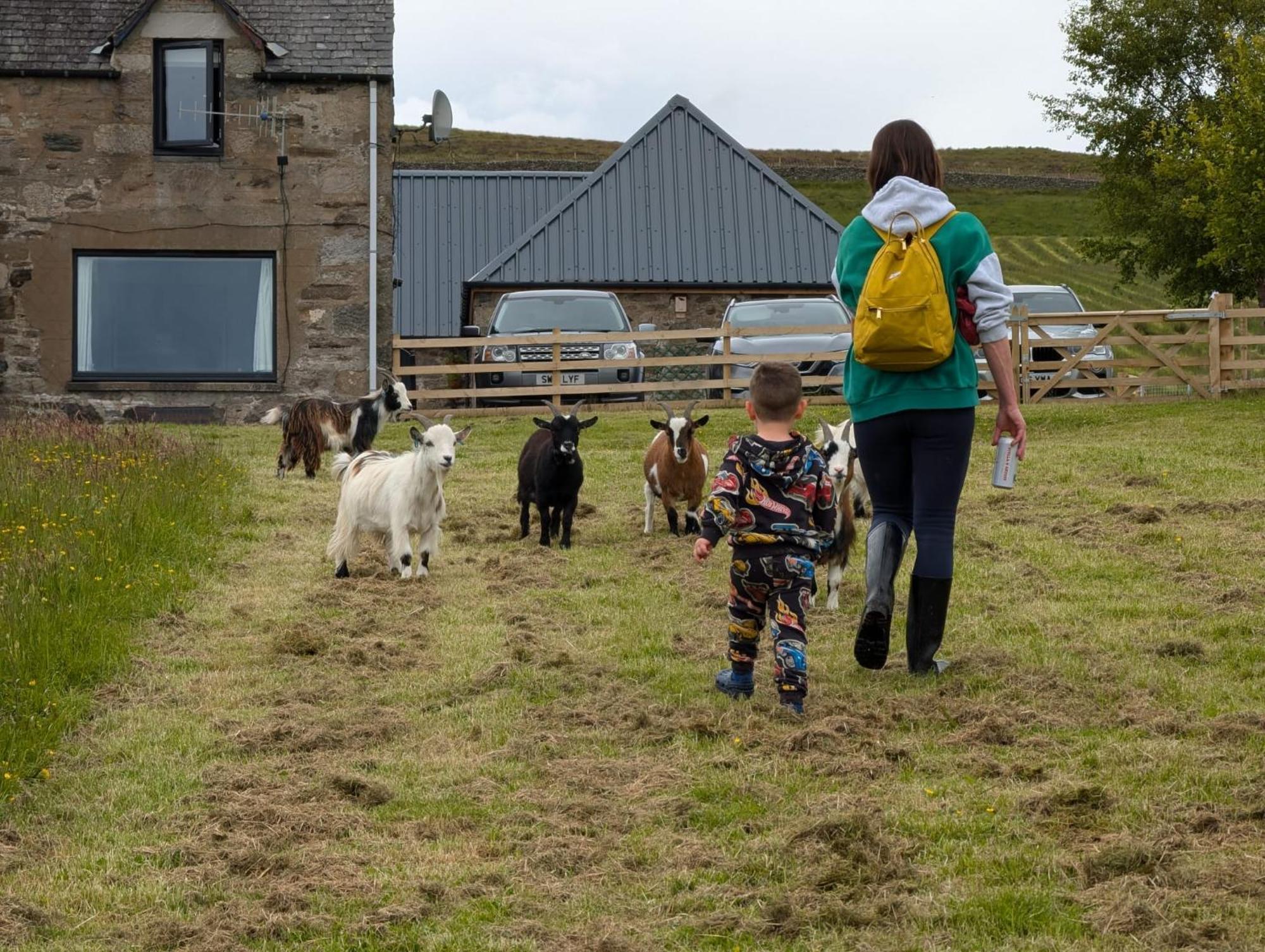 Tomnauld Farm Hotel Pitlochry Ngoại thất bức ảnh