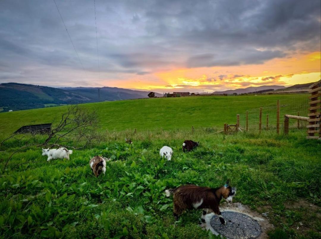 Tomnauld Farm Hotel Pitlochry Ngoại thất bức ảnh